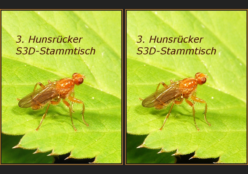 Einladung zum 3. Hunsrücker S3D-Stammtisch