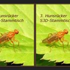 Einladung zum 3. Hunsrücker S3D-Stammtisch