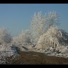 Einladung zum Akkutest