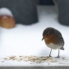 Einladung zum Balkon-Picknick