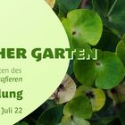 Einladung zum Fotografieren in den Botanischen Garten