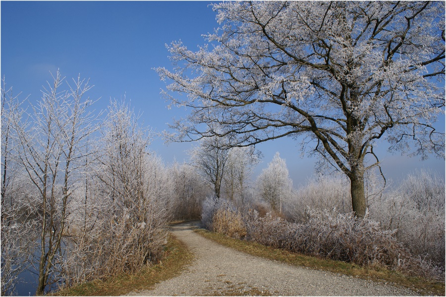 Einladung zum Morgenspaziergang