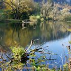 Einladung zum Picknik in der Donau