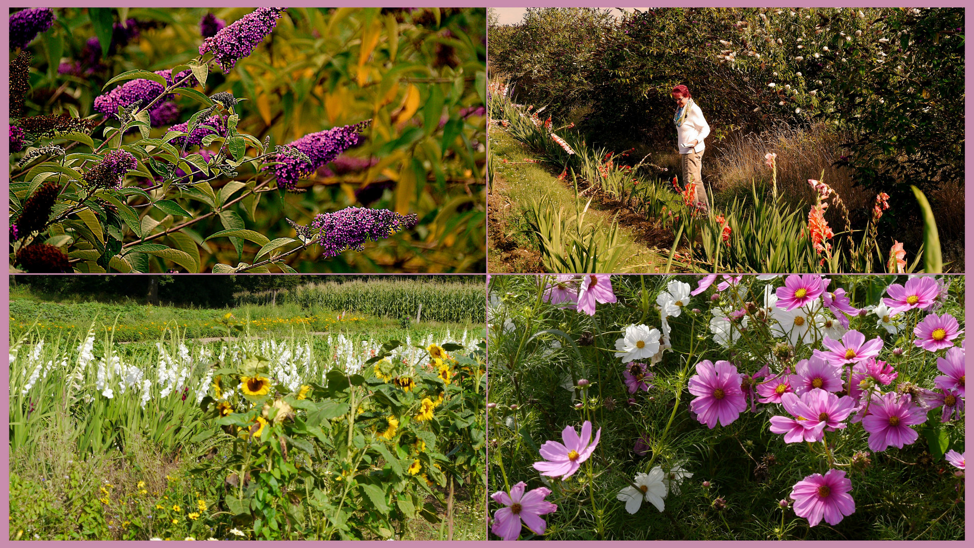 Einladung zur Blumenwiese.