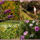 Einladung zur Blumenwiese.