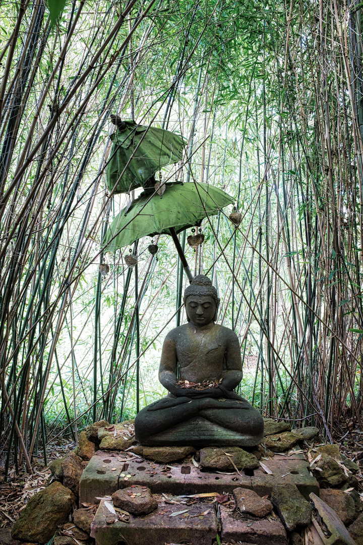 Einladung zur Meditation