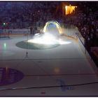 Einlauf der Hamburg Freezers im Jahr 2004