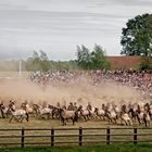 Einlauf in die Arena