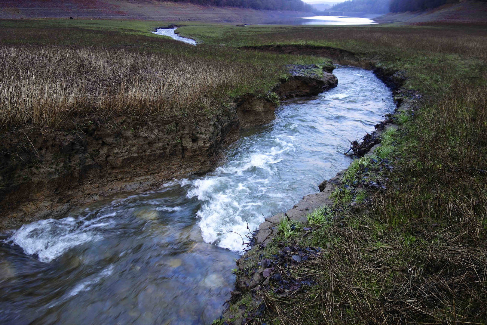 Einlaufbach in die Oestertalsperre durch den Talsperrengrund