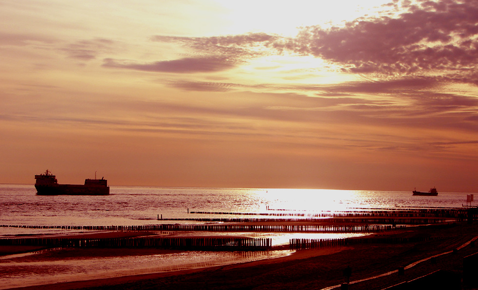 Einlaufende Schiffe in der Westerschelde