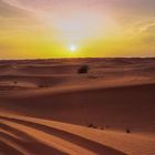 Einmal allein in der Wüste