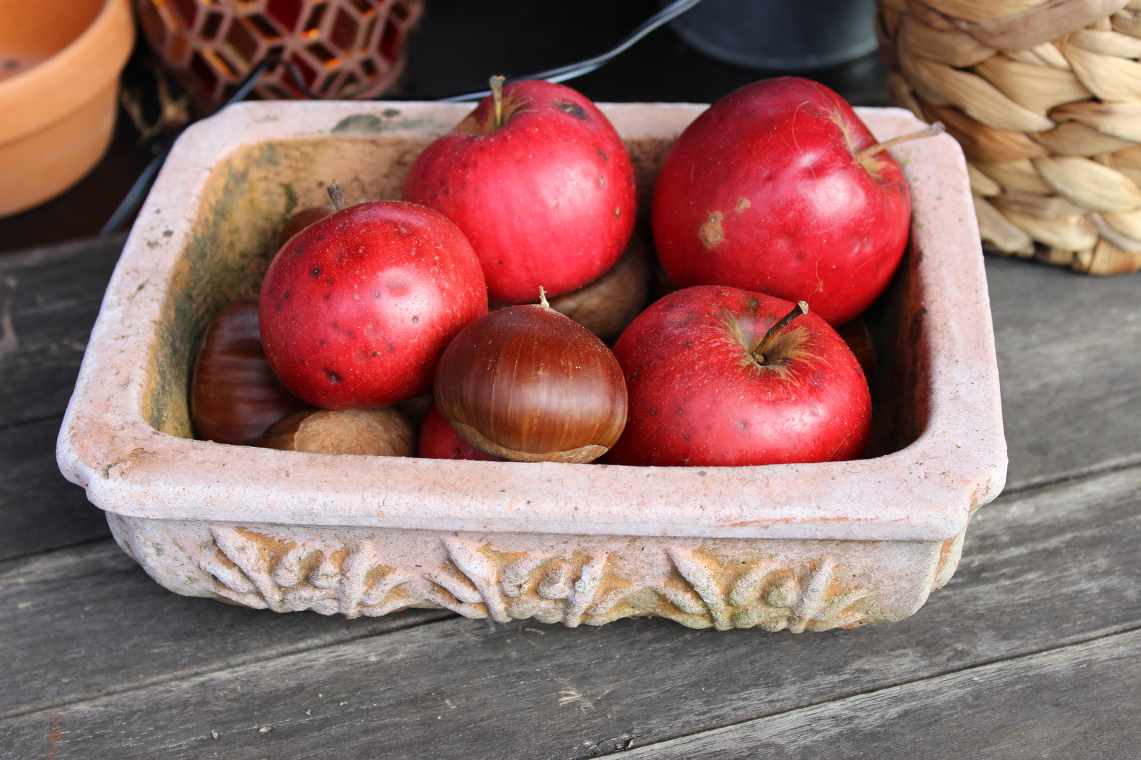 einmal andere Herbstfarben