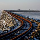 Einmal Hallig und zurück