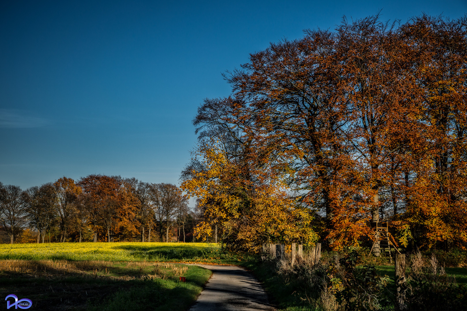 Einmal Herbst...