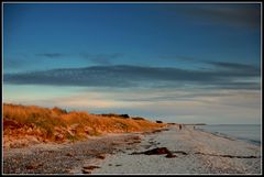 Einmal Hiddensee