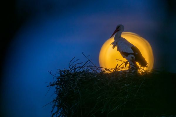 Einmal im Jahr ist Vollmond...