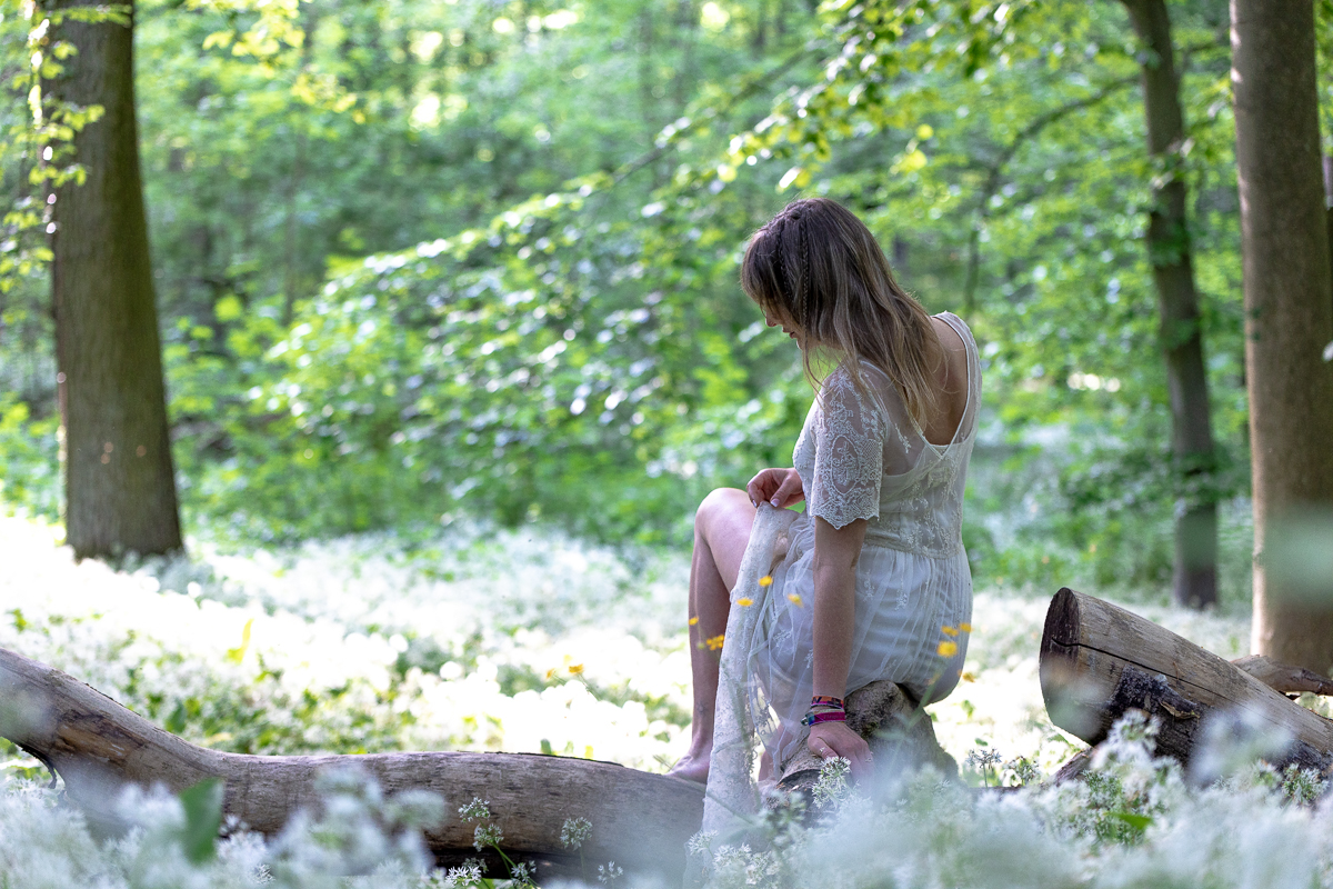 Einmal im verwunschenen Wald