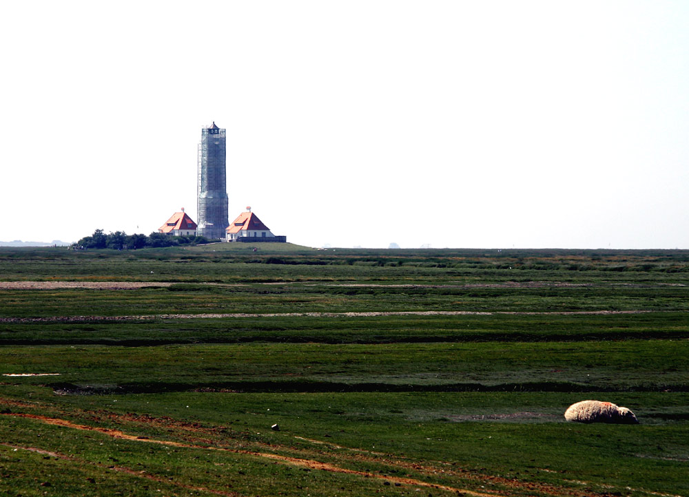 Einmal in Westerhever...