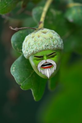 Einmal lächeln bitte.