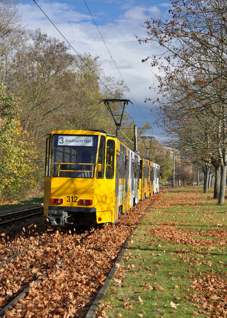 Einmal Laub Aufwirbeln