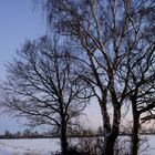 Einmal Mond & zurueck.