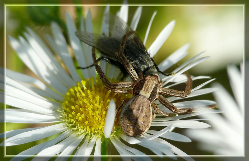 Einmal nicht aufgepasst