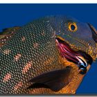 Einmal richtig putzen bitte, Weihnachten steht vor der Tür ;-) Überarbeitet