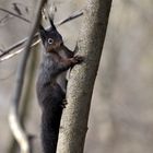 Einmal Schloßpark -immer Schloßpark