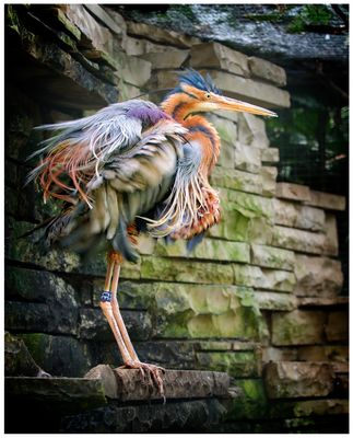 Einmal schütteln und die Frisur sitzt!