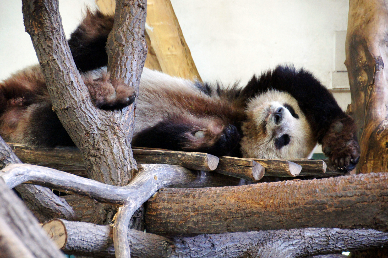 Einmal so richtig relaxen...