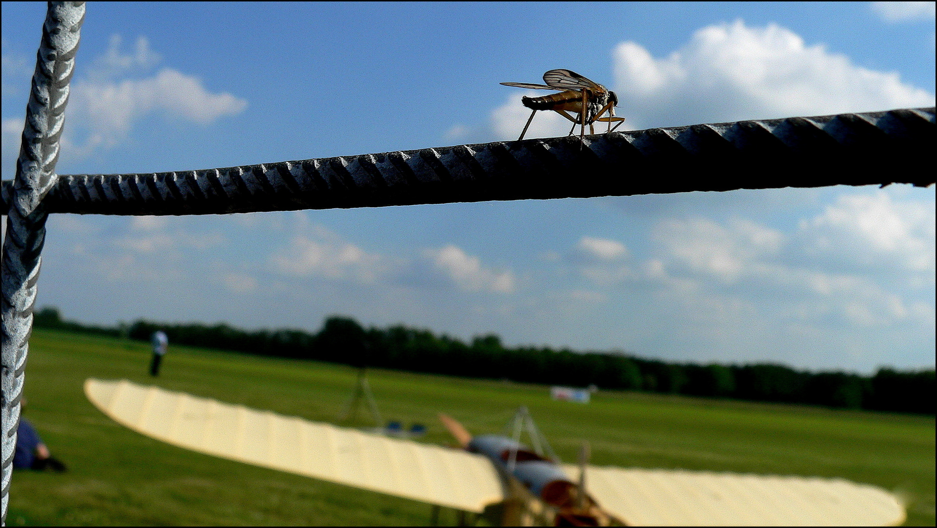 "Einmal so´n Cabrio fliegen, das wär´s...!