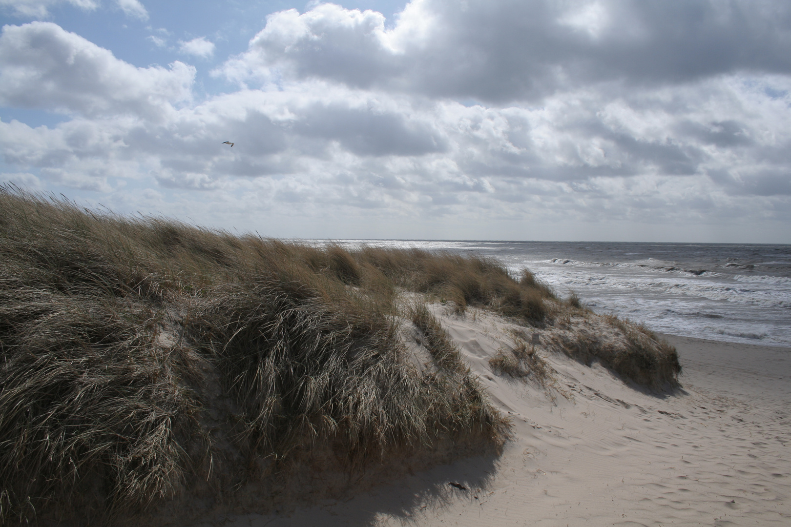 Einmal Sylt, immer Sylt....