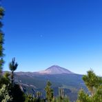 Einmal Teide muss sein