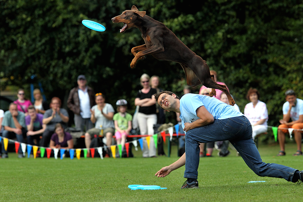 Einmal über Herrchen Jumpen (Take 2)