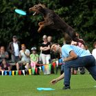 Einmal über Herrchen Jumpen (Take 2)