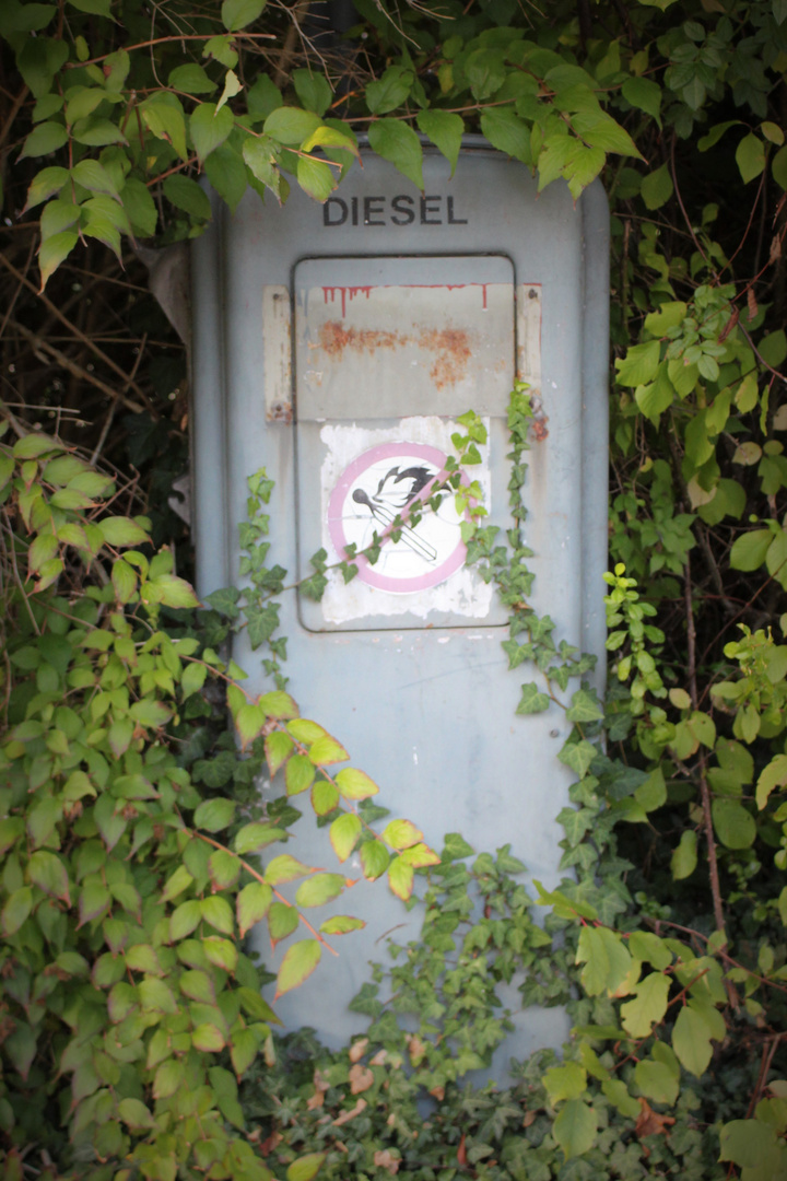 ... einmal volltanken bitte? Grüne Tankstelle!