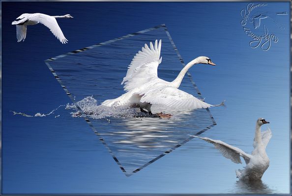 Einmal Wieder Leicht