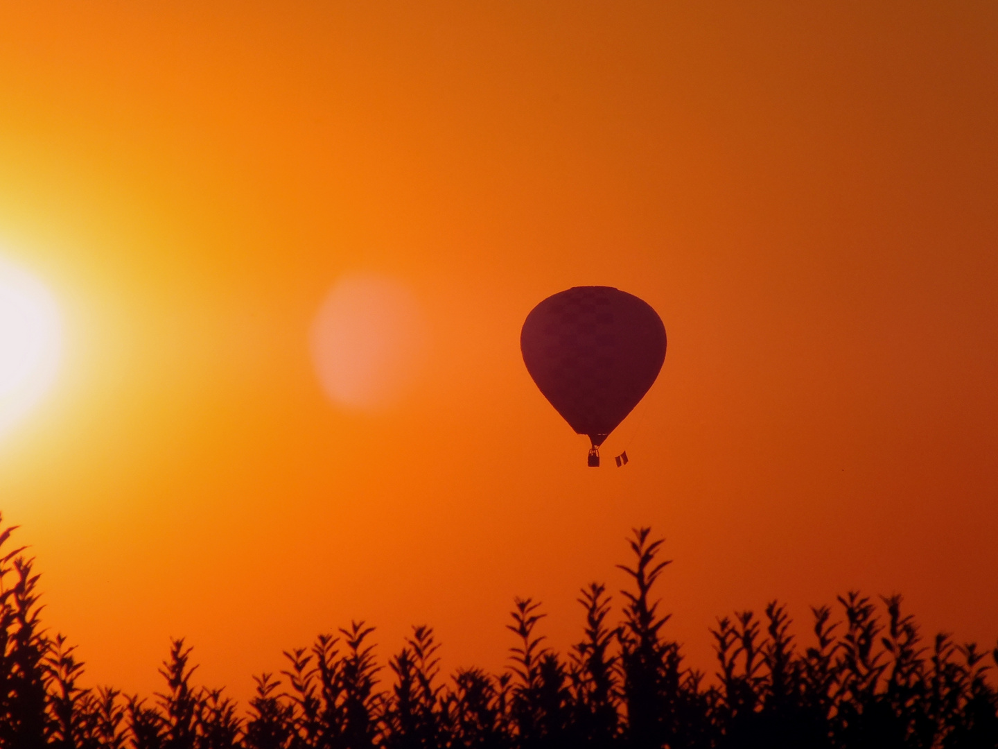 Einmal zur Sonne und zurück