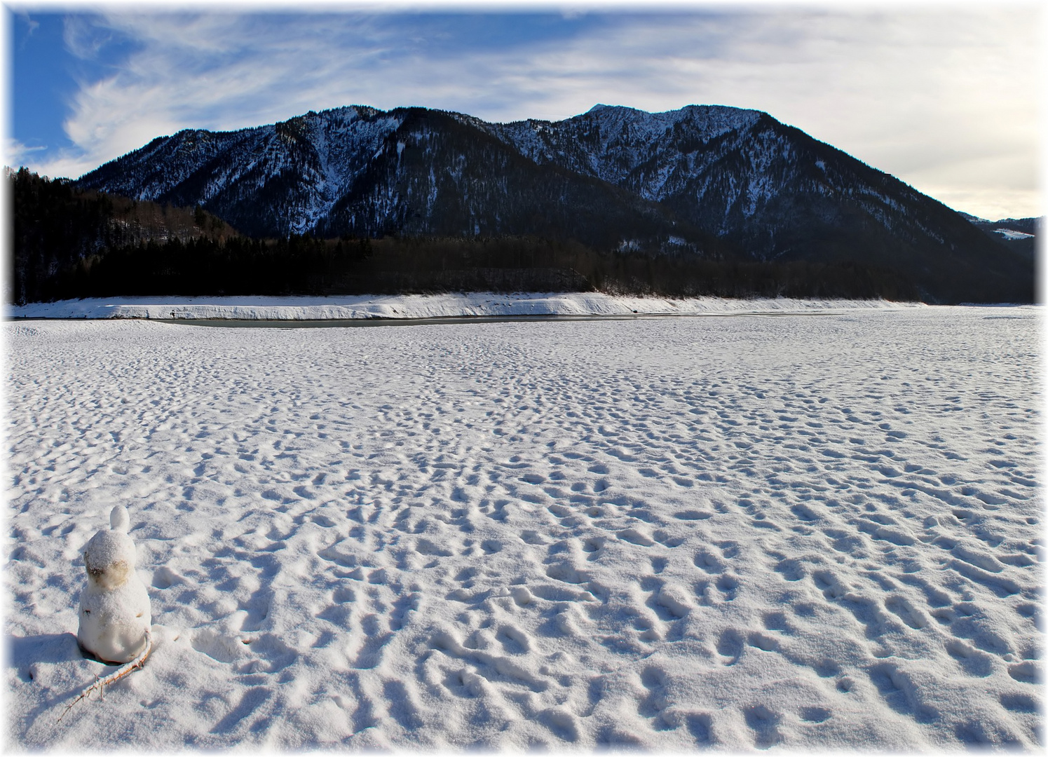 Einohriger Schneehase ...