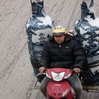 Eins der 1,5 mio. Mopeds in Hanoi