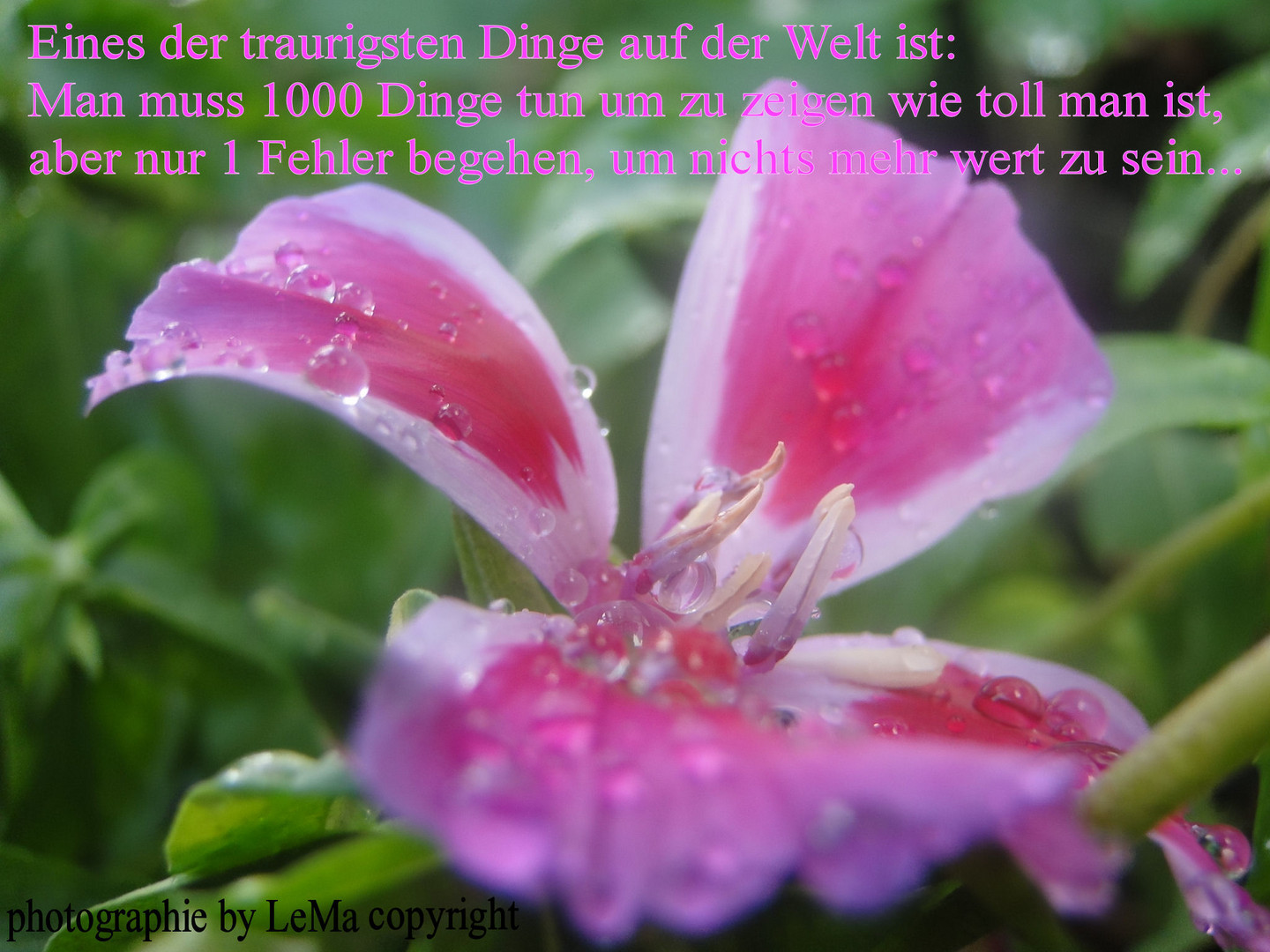 Eins der traugristen Dinge auf der Welt.....