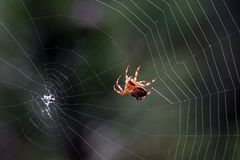 ...eins fallen lassen