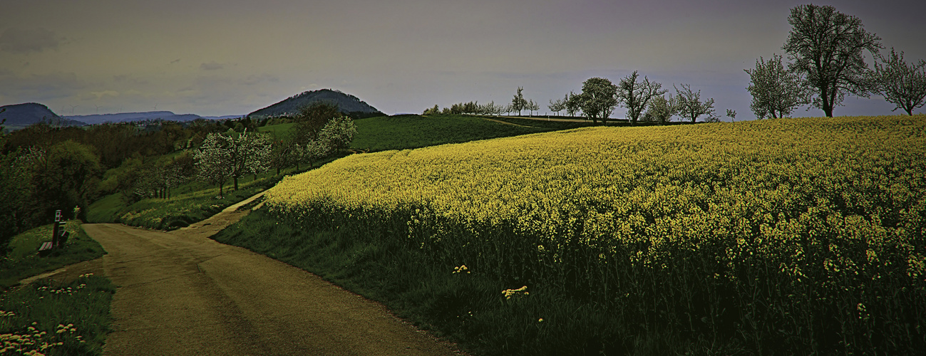 Eins hab ich noch - frühling im Schwabenländle