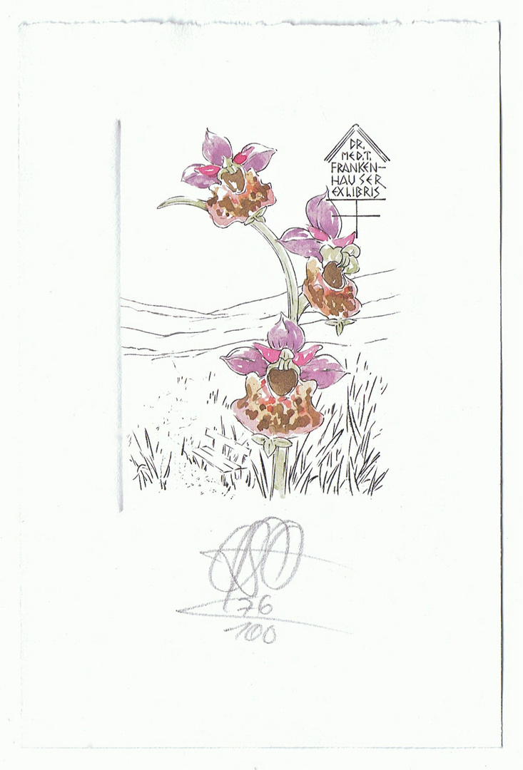 Eins meiner schönsten Exlibris: Orchidee von Oskar Roland Schroth, Selb, 1996
