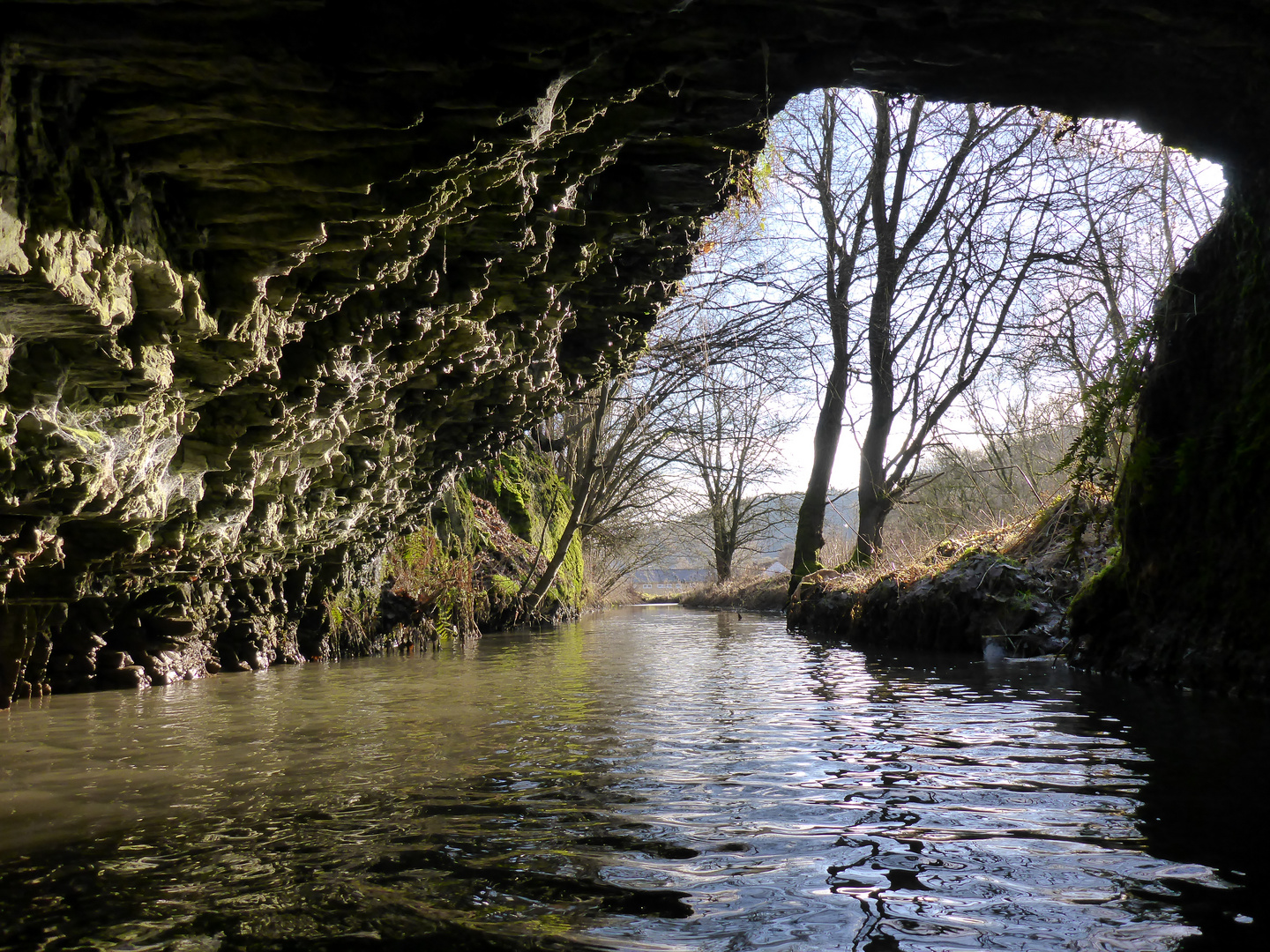 Eins mit der Natur