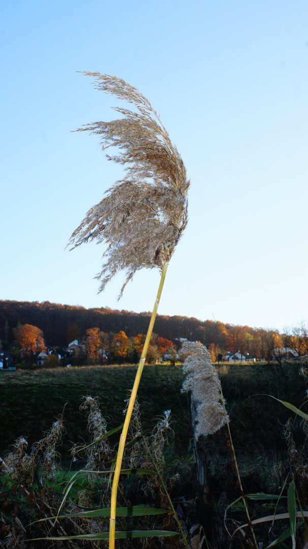 ..eins von so vielen..