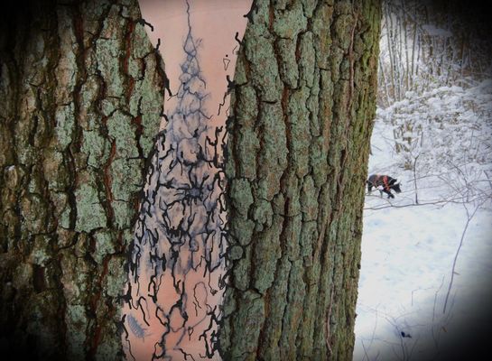 ---{{{ eins-werden---