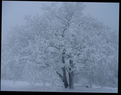 >>>((( eins werden .....................................