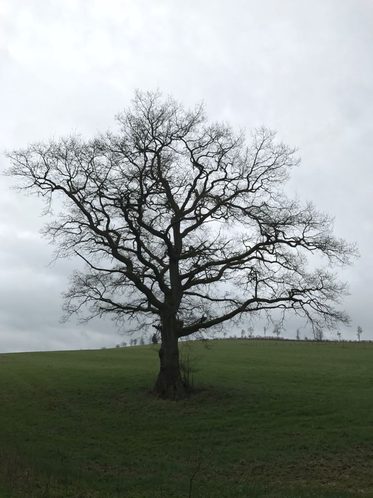 Einsam aber standhaft