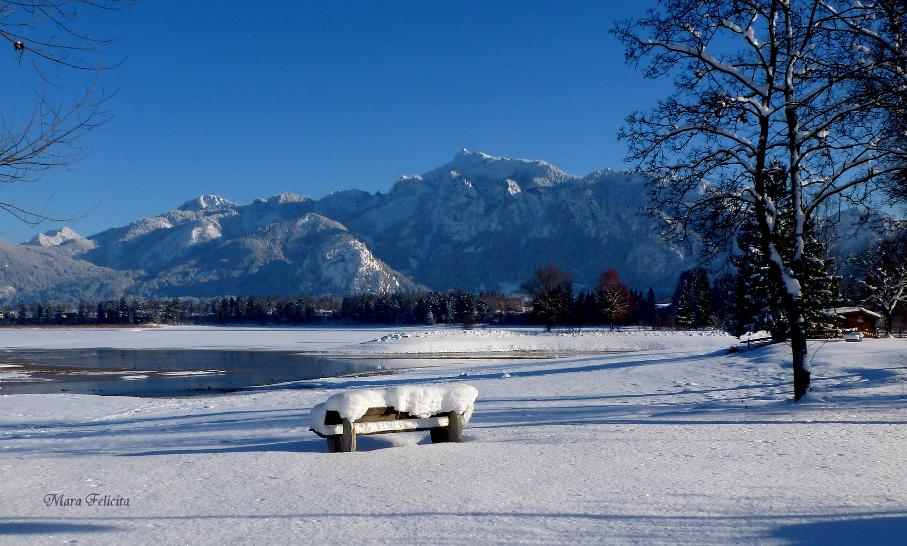 EINSAM - am Forggensee